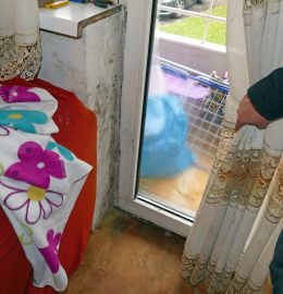 Mikroskopische Aufnahme eines Schimmelpilzes
